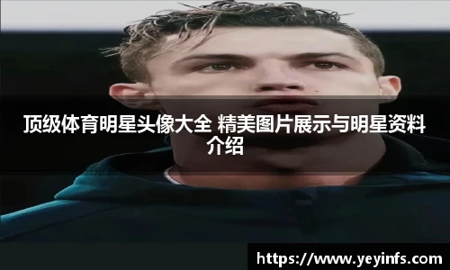 顶级体育明星头像大全 精美图片展示与明星资料介绍