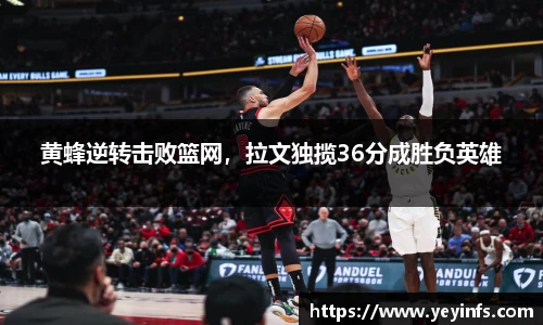 球王会体育